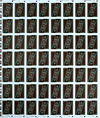 Run Playing Cards: Bankroll Edition (Uncut Sheet)